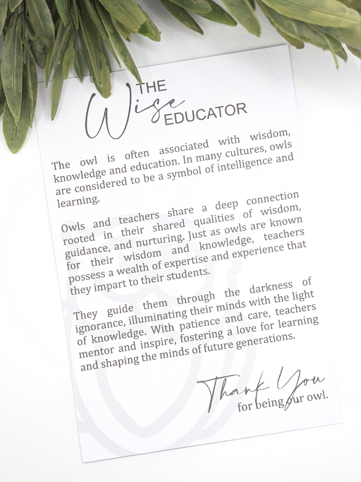 Wise Owl Story Ornament for Educators
